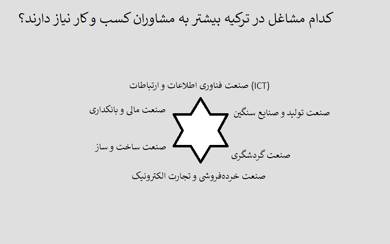 کدام مشاغل در ترکیه بیشتر به مشاوران کسب و کار نیاز دارند؟